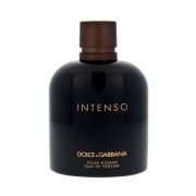 211525-parfemovana-voda-dolce-gabbana-pour-homme-intenso-200ml-m