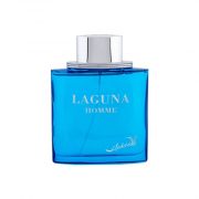 245403-toaletni-voda-salvador-dali-laguna-100ml-m